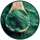 SPIRULINA​